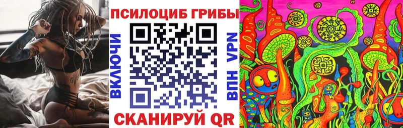 цены наркотик Белокуриха Галлюциногенные грибы MAGIC MUSHROOMS